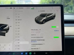 Tesla Model Y Long Range All-Wheel Drive 3D7 - ფოტო 13