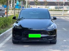 Tesla Model Y Long Range All-Wheel Drive 3D7 - ფოტო 2