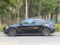 Tesla Model Y Long Range All-Wheel Drive 3D7 - ფოტო 3