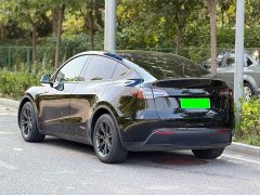 Tesla Model Y Long Range All-Wheel Drive 3D7 - ფოტო 4