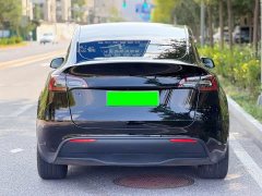 Tesla Model Y Long Range All-Wheel Drive 3D7 - ფოტო 5