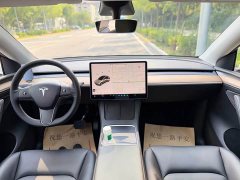 Tesla Model Y Long Range All-Wheel Drive 3D7 - ფოტო 6
