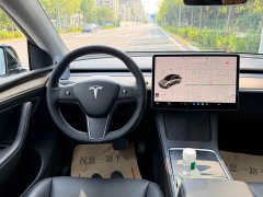 Tesla Model Y Long Range All-Wheel Drive 3D7 - ფოტო 7