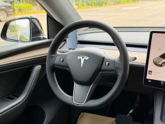 Tesla Model Y Long Range All-Wheel Drive 3D7 - ფოტო 8