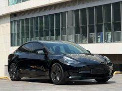 Tesla Model 3 2022 Rear-Wheel Drive - ფოტო 2