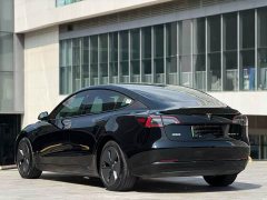 Tesla Model 3 2022 Rear-Wheel Drive - ფოტო 8