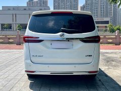 Buick GL8 Land Official Business Class 652T Comfort Edition - ფოტო 8
