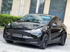 Tesla Model Y Rear-Wheel Drive - ფოტო 1