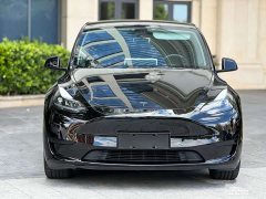 Tesla Model Y Rear-Wheel Drive - ფოტო 2