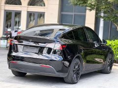 Tesla Model Y Rear-Wheel Drive - ფოტო 8