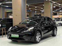 Tesla Model Y Rear-Wheel Drive - ფოტო 1