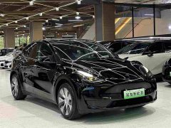 Tesla Model Y Rear-Wheel Drive - ფოტო 10