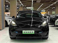 Tesla Model Y Rear-Wheel Drive - ფოტო 11