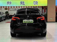 Tesla Model Y Rear-Wheel Drive - ფოტო 13