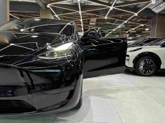 Tesla Model Y Rear-Wheel Drive - ფოტო 14