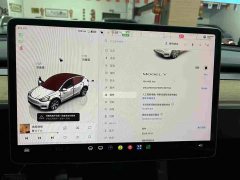 Tesla Model Y Rear-Wheel Drive - ფოტო 2