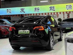 Tesla Model Y Rear-Wheel Drive - ფოტო 3