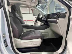 Leapmotor C11 Extended Range 285 Smart Enjoyment Edition - ფოტო 10