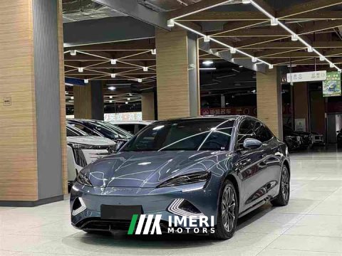 2023 BYD Dolphin Champion Edition 550km Elite - ავტომობილი ჩინეთიდან