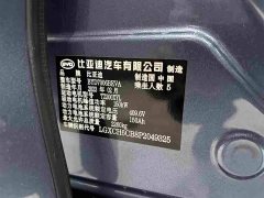 BYD Dolphin Champion Edition 550km Elite - ფოტო 18