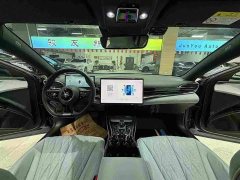 BYD Dolphin Champion Edition 550km Elite - ფოტო 20