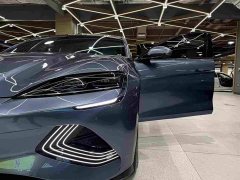 BYD Dolphin Champion Edition 550km Elite - ფოტო 8