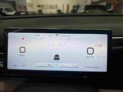 BYD Song Pro New Energy Champion Edition DM-i 110KM Excellence - ფოტო 3