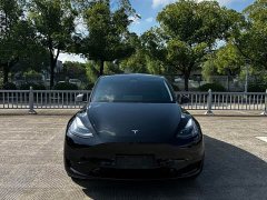 Tesla Model Y Rear-Wheel Drive - ფოტო 1