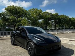 Tesla Model Y Rear-Wheel Drive - ფოტო 2