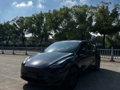 Tesla Model Y Rear-Wheel Drive - ფოტო 3