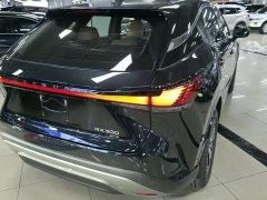 Lexus RX 300 AWD Premium Edition - ფოტო 8