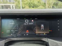 Tank 300 2021 Off-Road Edition 2.0T Conqueror - ფოტო 17