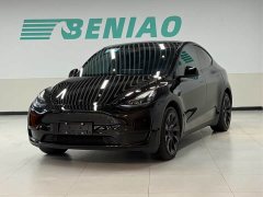 Tesla Model Y Rear-Wheel Drive - ფოტო 1