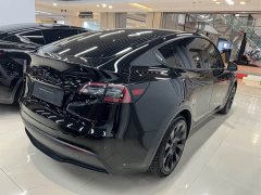 Tesla Model Y Rear-Wheel Drive - ფოტო 18