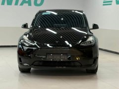 Tesla Model Y Rear-Wheel Drive - ფოტო 19