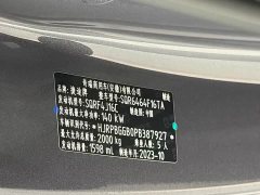 Jetour Jietu Dasheng 2023 1.6T DCT King PRO - ფოტო 18