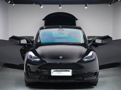 Tesla Model Y Rear-Wheel Drive - ფოტო 12