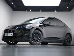 Tesla Model Y Rear-Wheel Drive - ფოტო 3