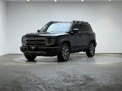 Great Wall Dachshund 2024 1.5T DCT Border Collie Edition - ფოტო 1