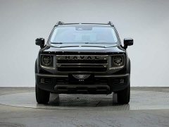 Great Wall Dachshund 2024 1.5T DCT Border Collie Edition - ფოტო 2