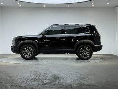 Great Wall Dachshund 2024 1.5T DCT Border Collie Edition - ფოტო 5