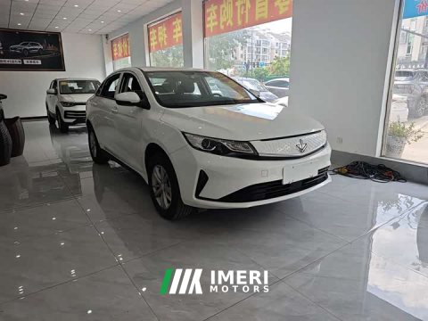 2026 Maple Leaf Maple 60s 2022 Easy Travel Edition LFP Battery - ავტომობილი ჩინეთიდან