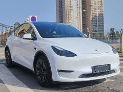 Tesla Model Y Standard Range RWD - ფოტო 3