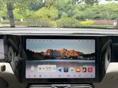 Leapmotor Leapo C11 2021 Premium Edition - ფოტო 10