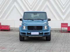 Mercedes-Benz G-Class 2024 G 400 d - ფოტო 2