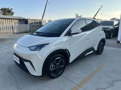 BYD Seagull Freedom Edition - ფოტო 1