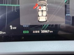 Denza BYD Denza D9 2024 DM-i 980 Four-Wheel Drive Premium - ფოტო 14