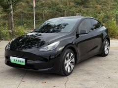 Tesla Model Y Rear-Wheel Drive - ფოტო 1