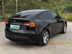 Tesla Model Y Rear-Wheel Drive - ფოტო 15
