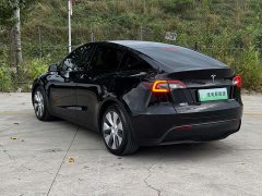 Tesla Model Y Rear-Wheel Drive - ფოტო 17